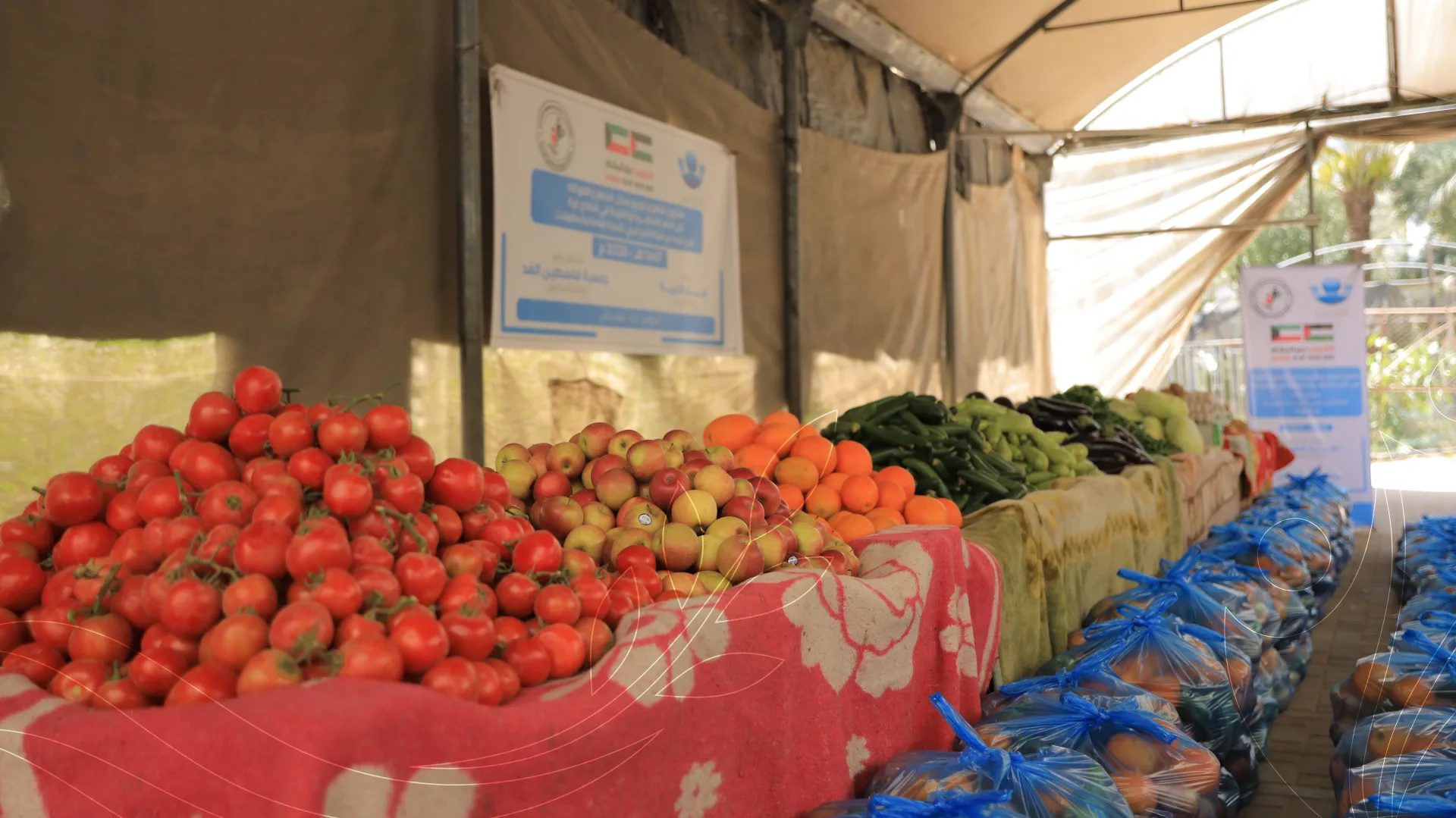صورة من معرض الجمعية