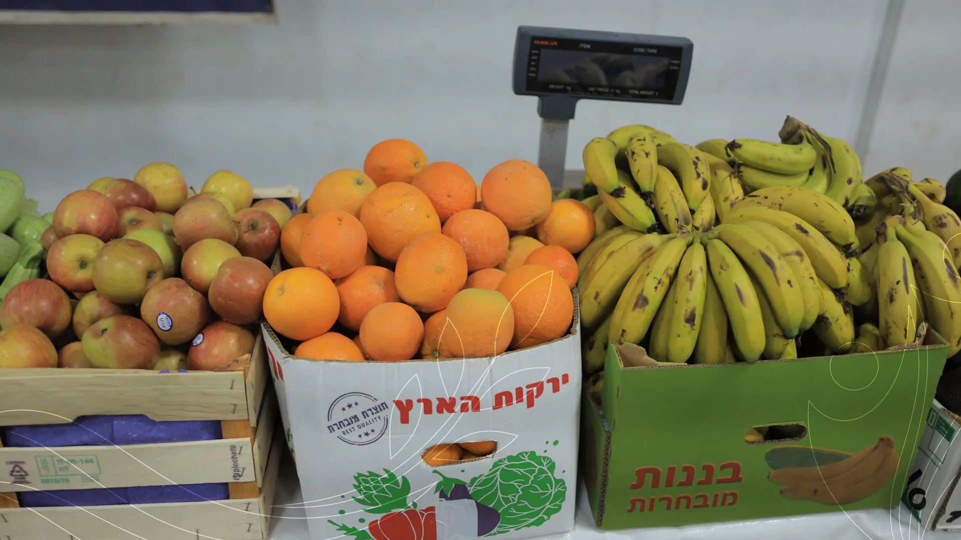 صورة من معرض الجمعية