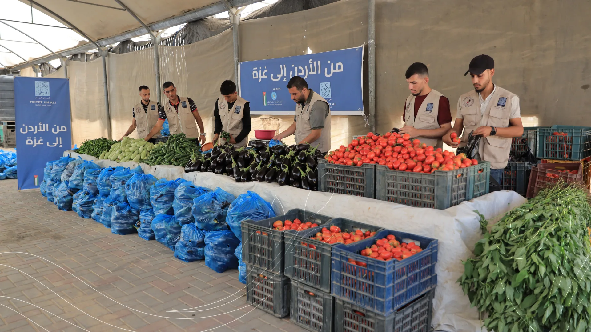 صورة من معرض الجمعية
