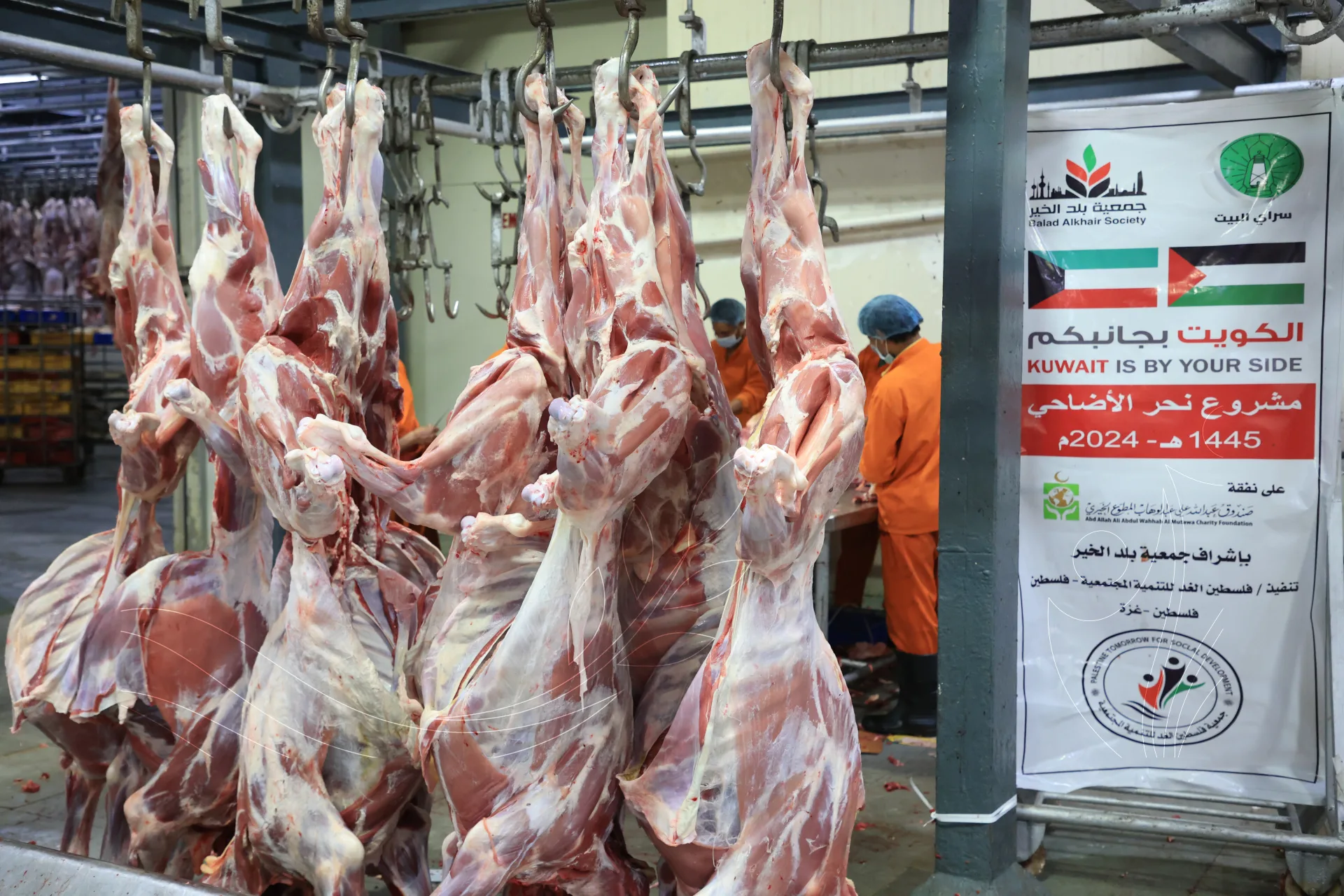 صورة من معرض الجمعية