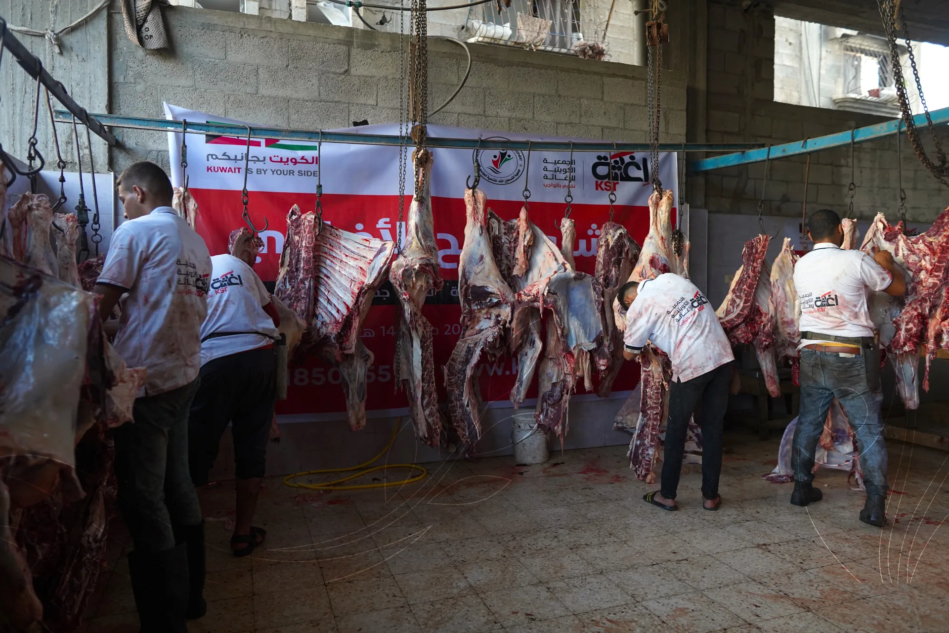 صورة من معرض الجمعية