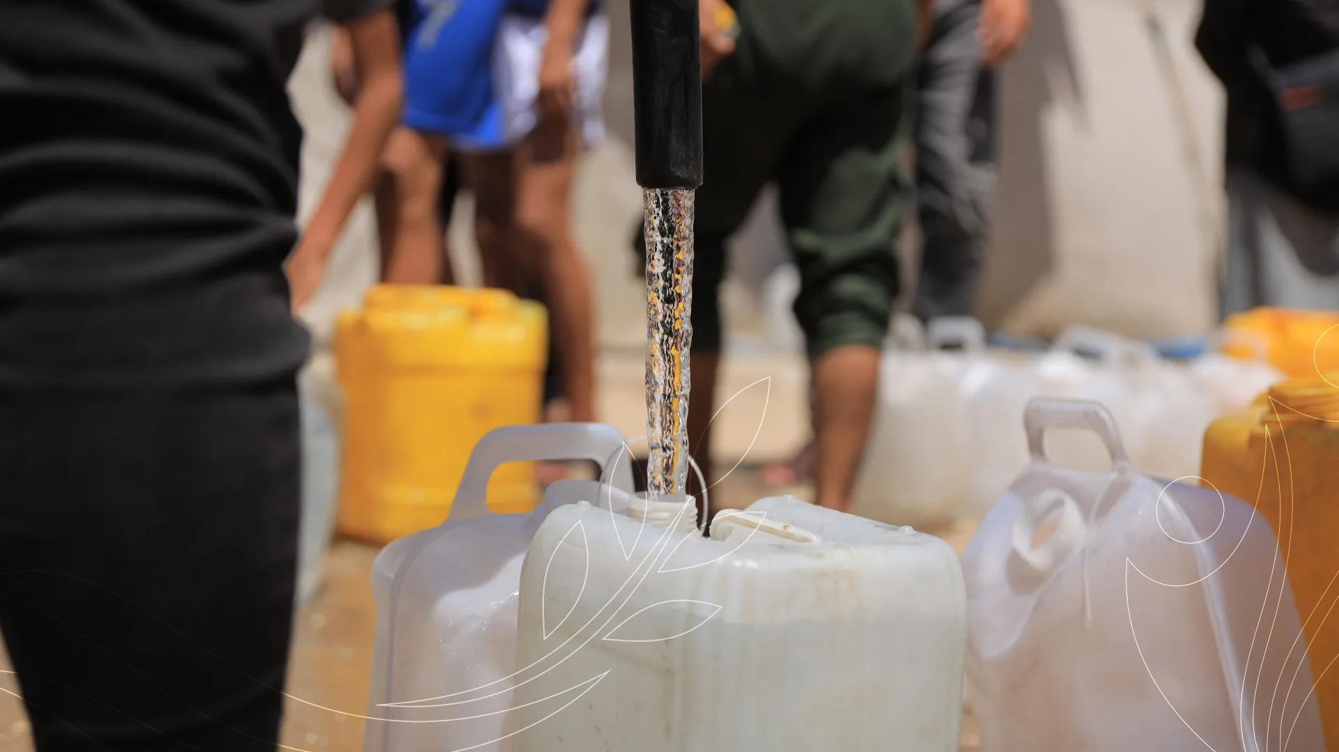 صورة من معرض الجمعية