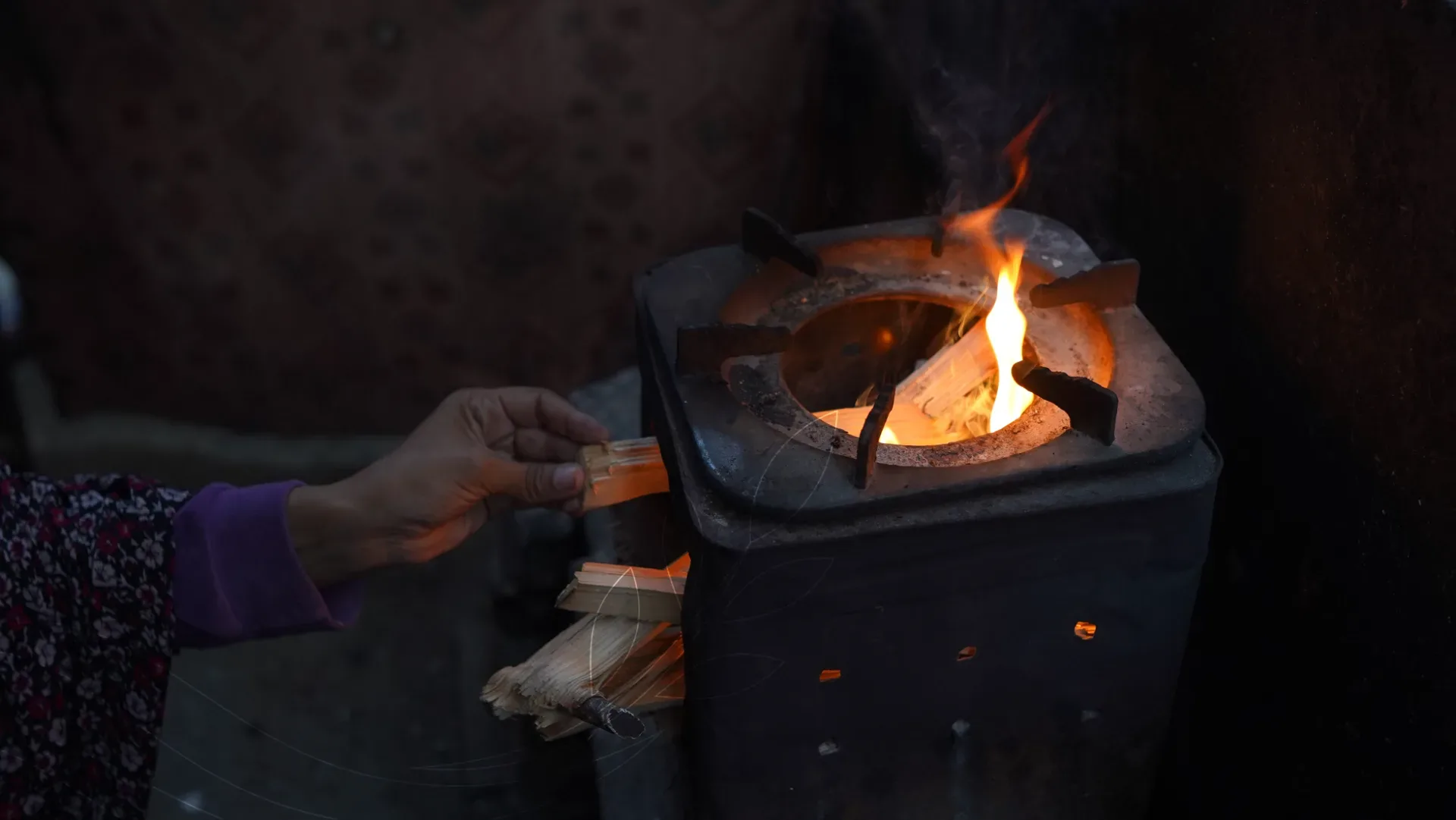 صورة من معرض الجمعية